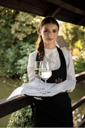 539266204_1456625782146185_2279645583999676680_n